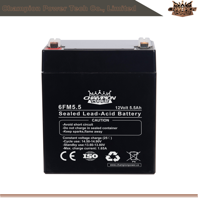 6FM5.5 12V5,5AH AGM Батарея