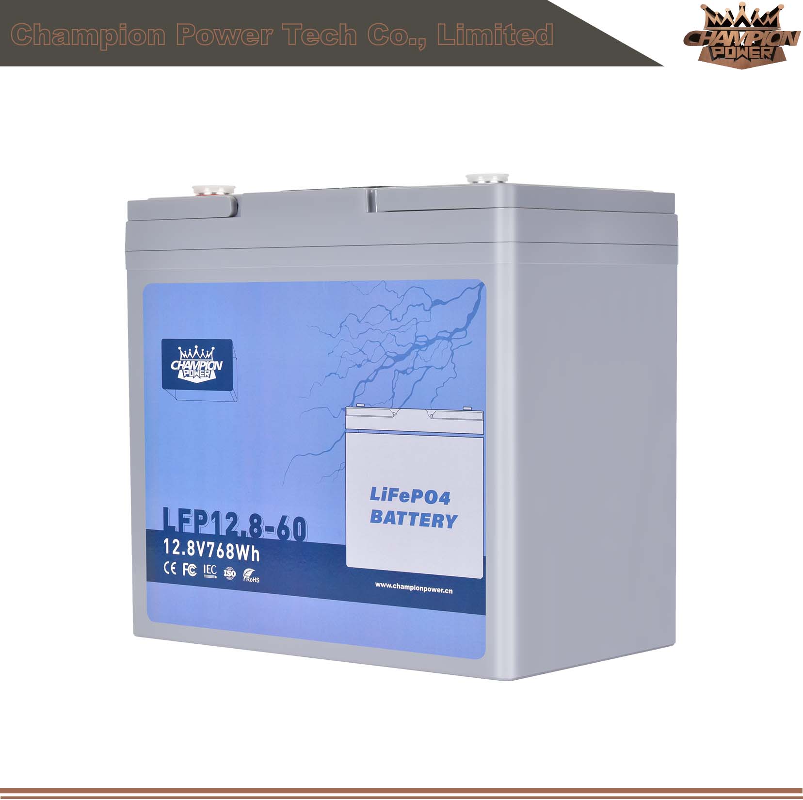 LFP12.8-60 12V60AH ATACTION LIFEPO4 Батарея