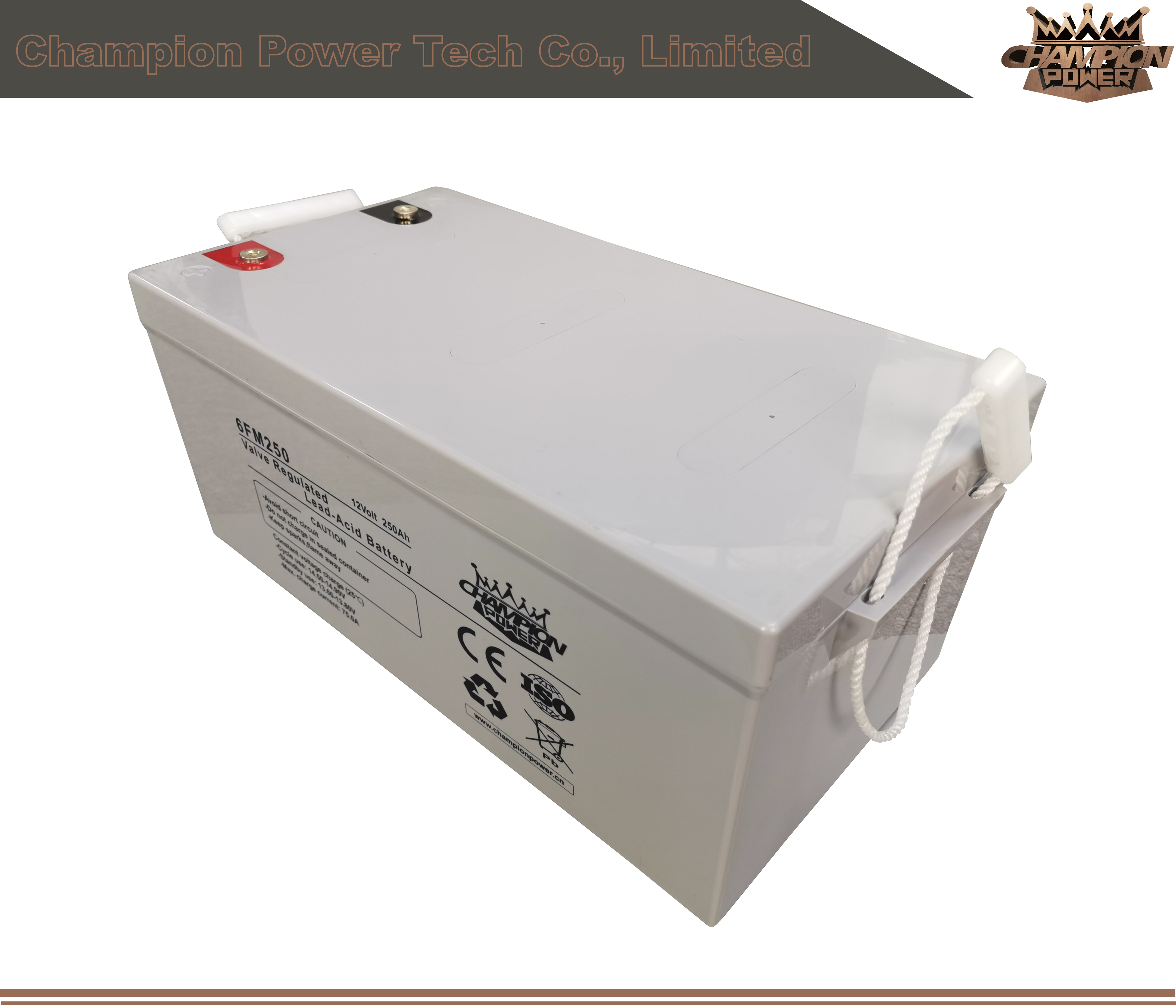 6FM250 12V250AH AGM Батарея