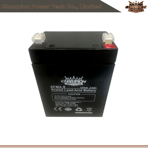 6FM2.9 12V2,9AH AGM Батарея