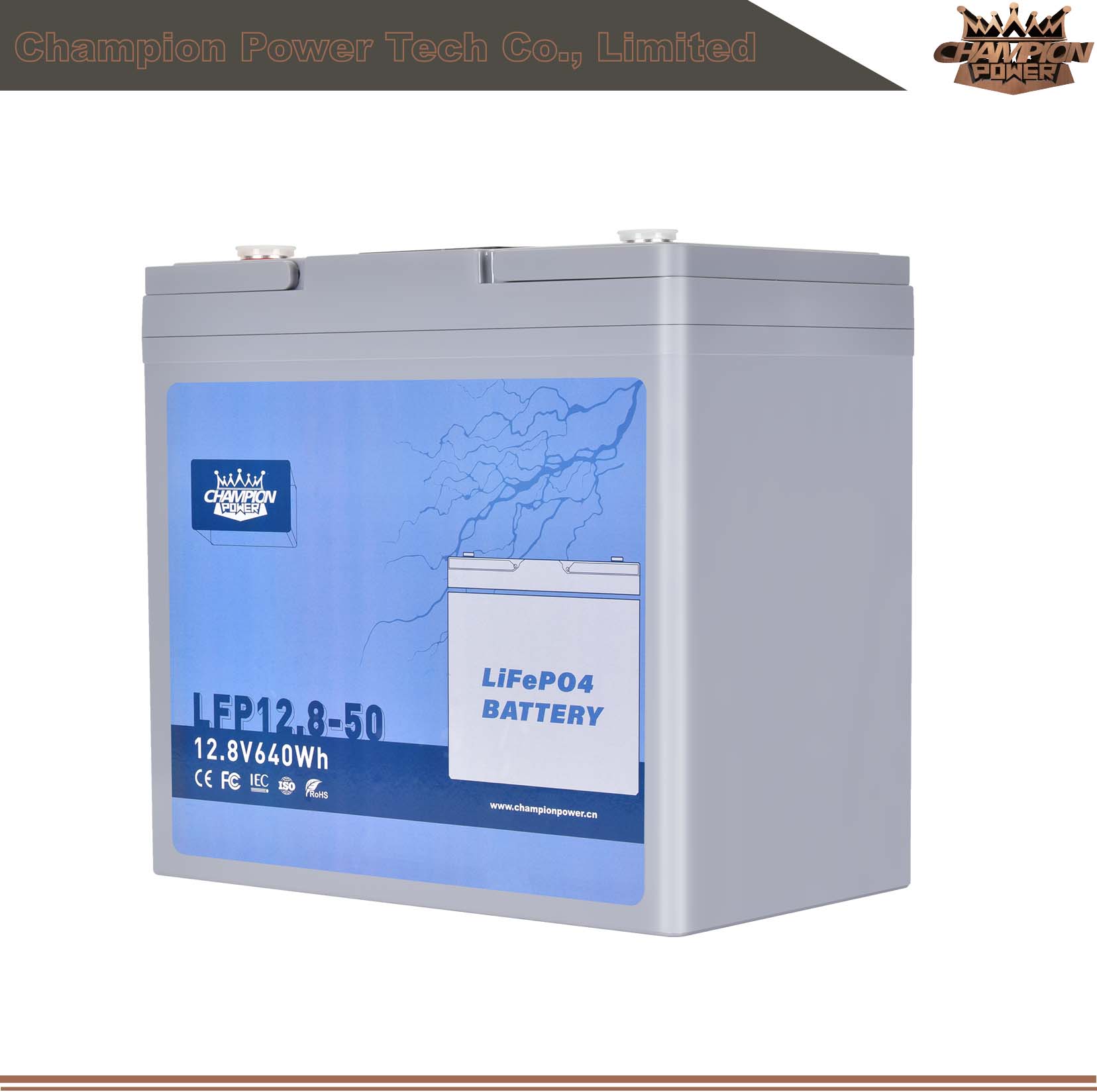 LFP12.8-50 12V50AH ATACTION LIFEPO4
