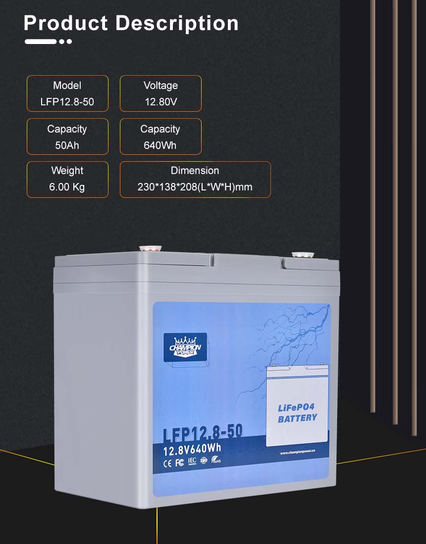 12V50AH LIFEPO4 Описание продукта продукта LifePO4