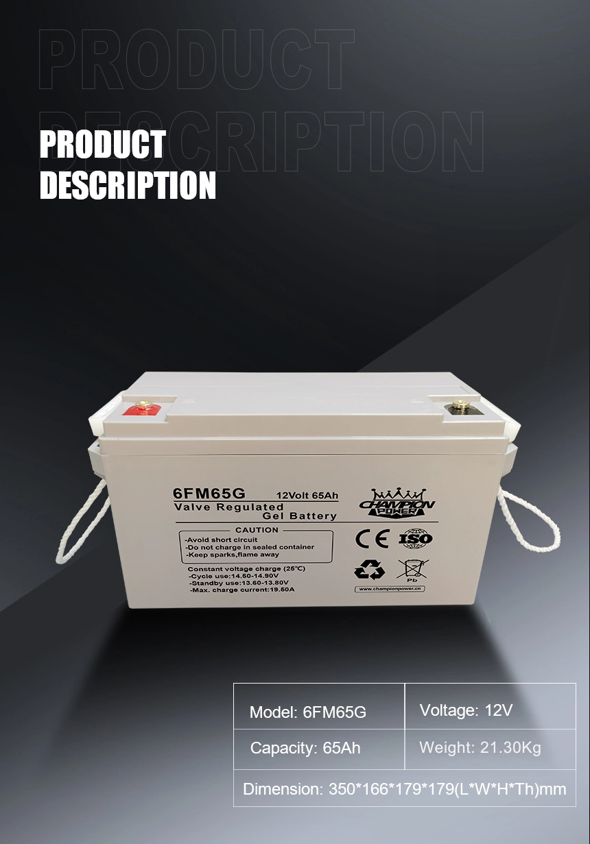 12V65AH Гель батарея
