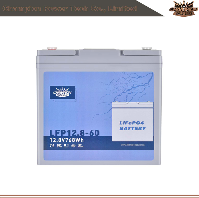 LFP12.8-60 12V60AH ATACTION LIFEPO4 Батарея
