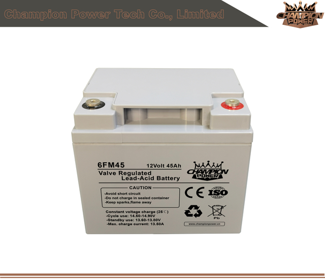6FM45 12V45AH AGM Батарея