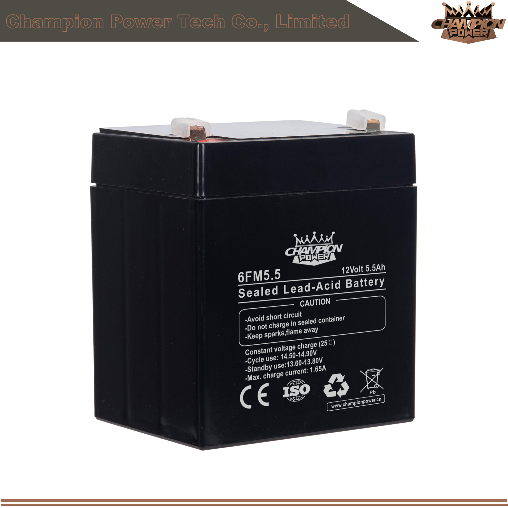 6FM5.5 12V5,5AH AGM Батарея