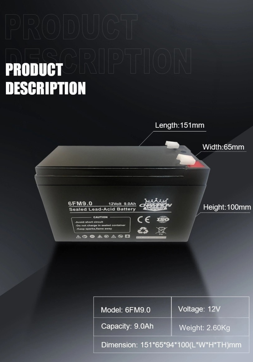 12V9.0AH AGM Батарея 
