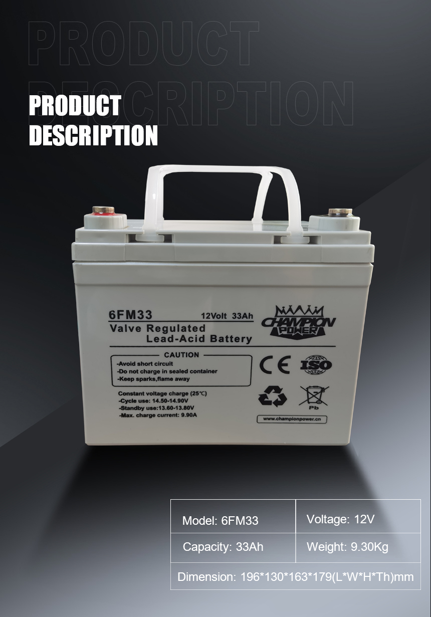 12V33AH Описание продукта