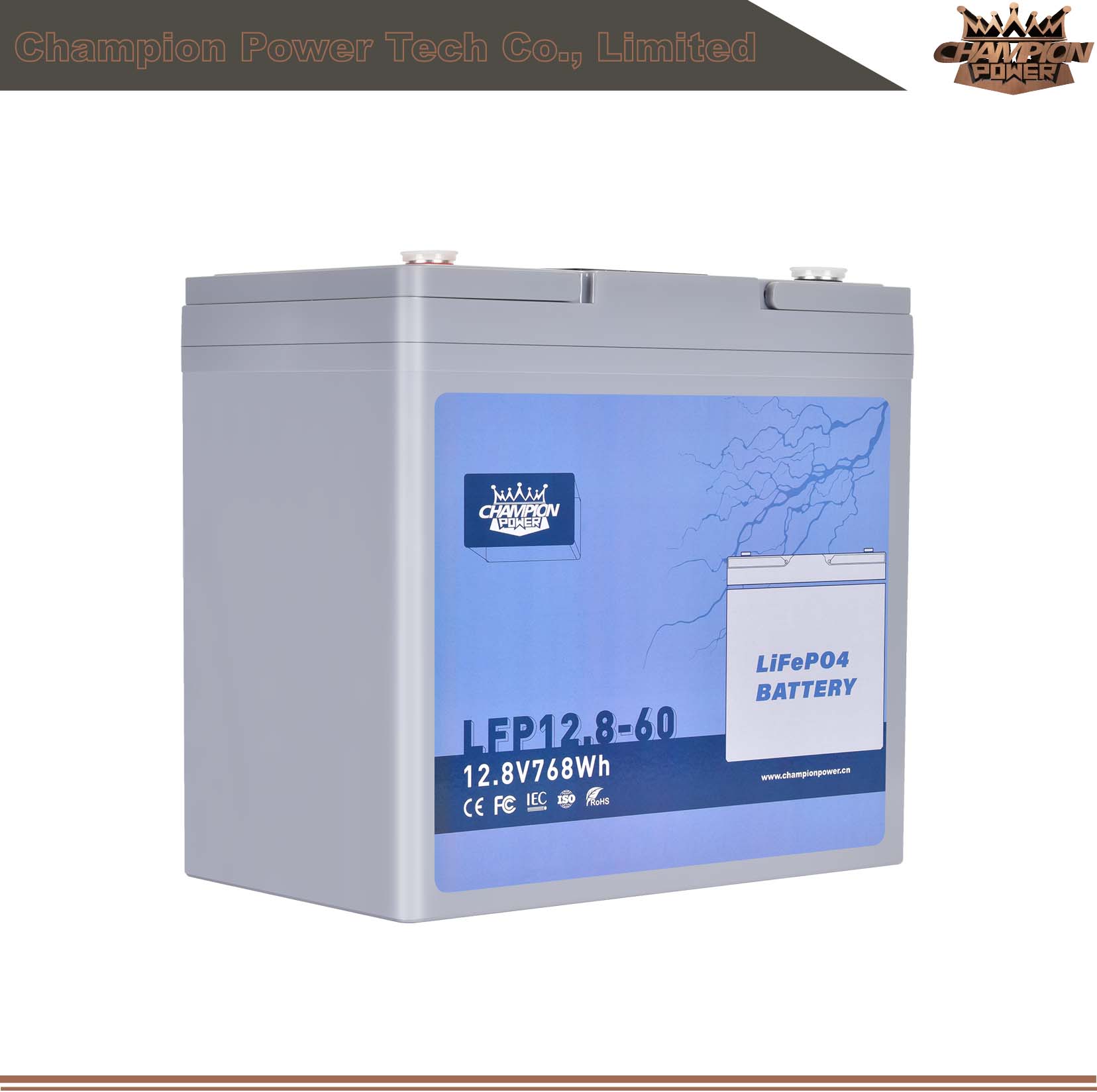 LFP12.8-60 12V60AH ATACTION LIFEPO4 Батарея