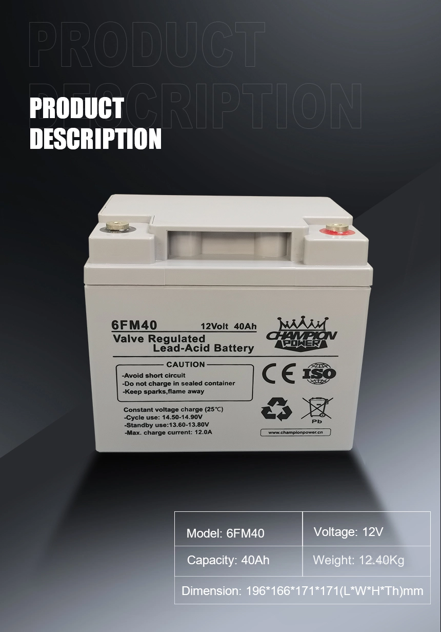12V40AH AGM Батарея